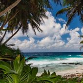 Dolly beach