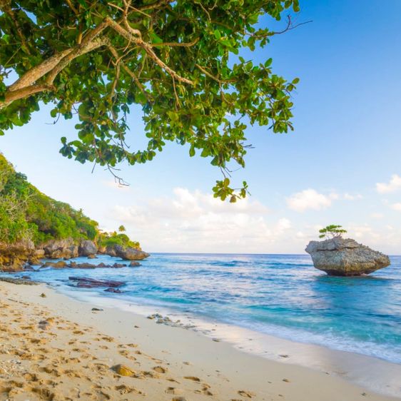 discover-christmas-island-national-park-parks-australia