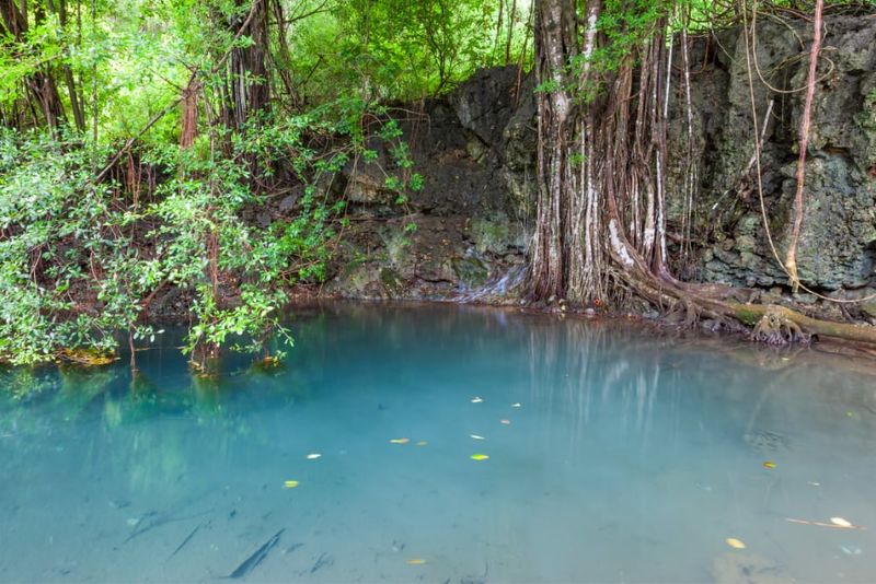 Dolly Beach track. Photo: Wondrous World Images.