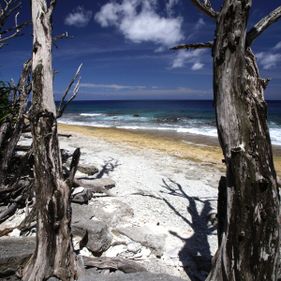 West White Beach. Photo: Erica Harrison