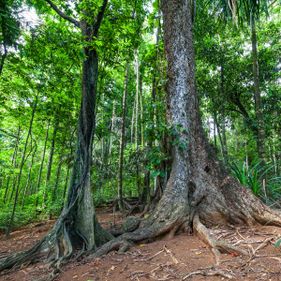 Territory Day Park nature trail. Photo: Wondrous World Images