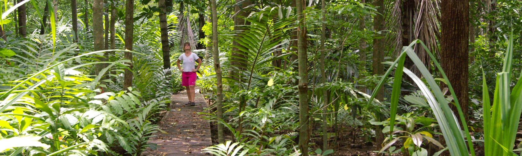 Dolly Beach boardwalk. Credit Phil Cash / Christmas Island Tourism Association