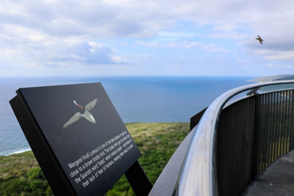 Margaret Knoll lookout.