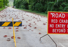 Christmas Island Road Access Board