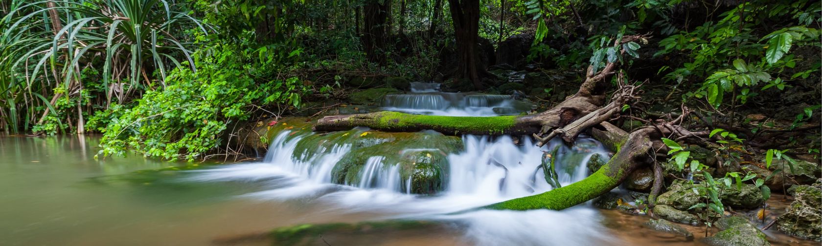 Dolly Beach waterfall. Photo: Wondrous World Images