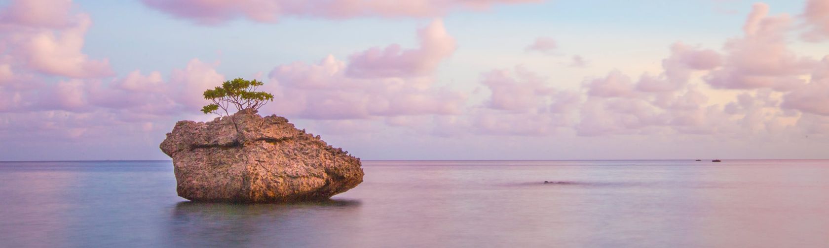 Flying Fish Cove. Photo: Wondrous World Images