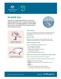 H5 bird flu fact sheet