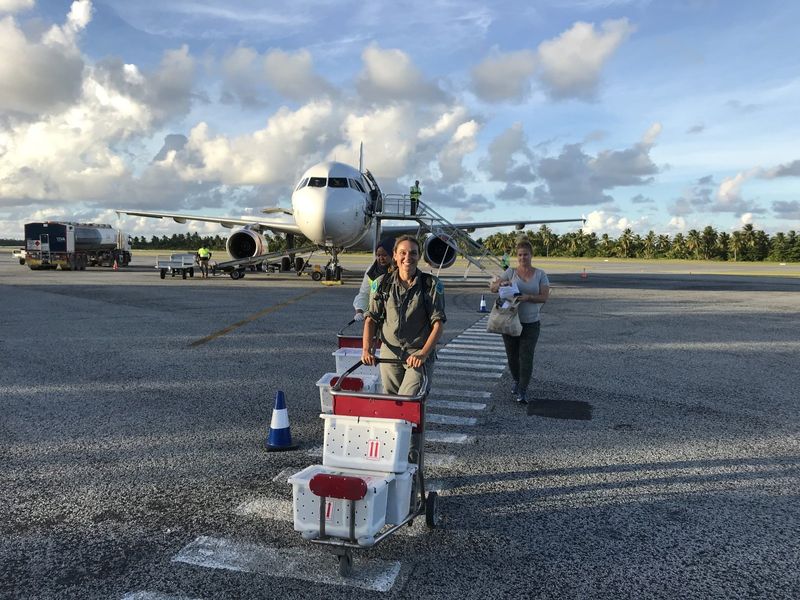 Three people unloading skinks from a Virgin plane.