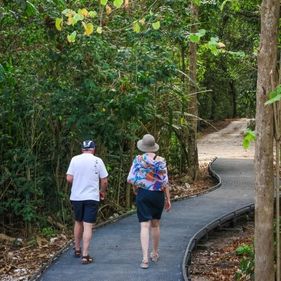 Margaret Knoll walking track