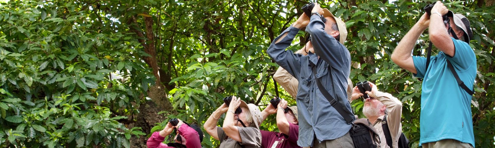 Birdwatching in the park. Photo: Christmas Island Tourism Association