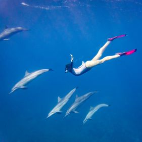 Snorkelling