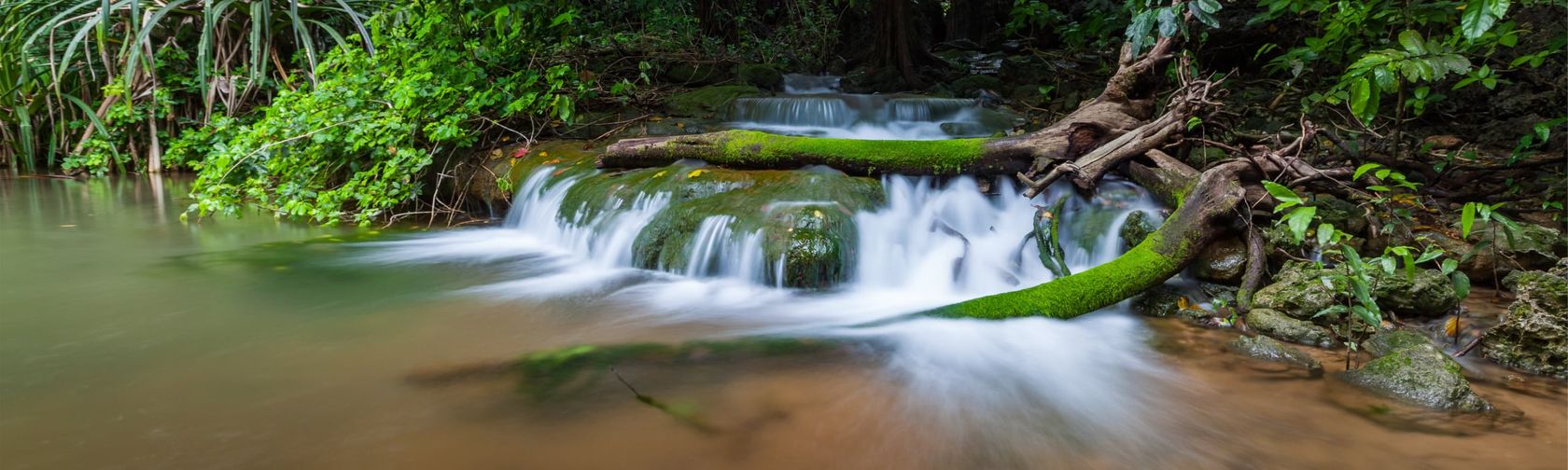 Two-thirds of the island is national park. Photo Wondrous World Images