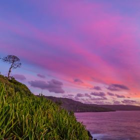 Martin Point at sunset. Photo: Wondrous World Images