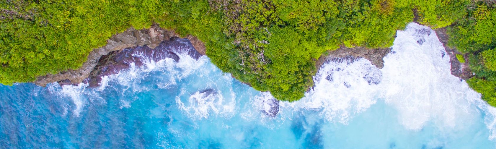 The rainforest meets the sea at Christmas Island. Photo: Chris Bray