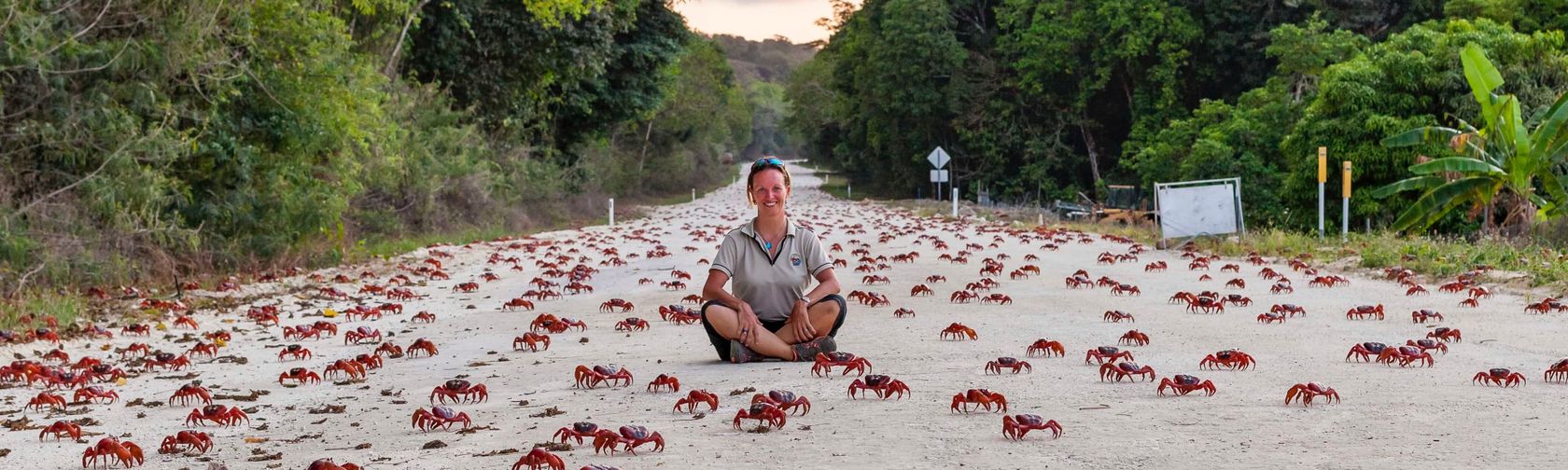 Taking a seat during the annual red crab migration. 