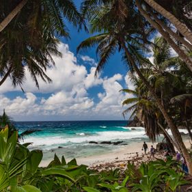 Dolly beach. Credit Wondrous World Images